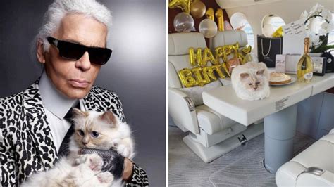 chanel designer karl lagerfeld cat|Chanel the Karl Lagerfeld campaigns.